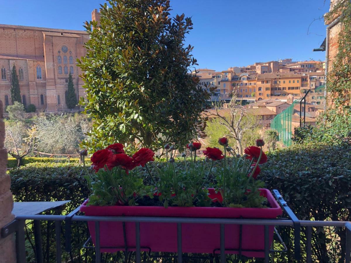 Casa Sophia Apartment Siena Bagian luar foto
